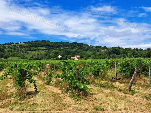 Eladó mezőgazdasági ingatlan Pécsely 41212 nm