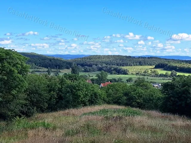 Eladó telek Balatonszőlős 6983 nm