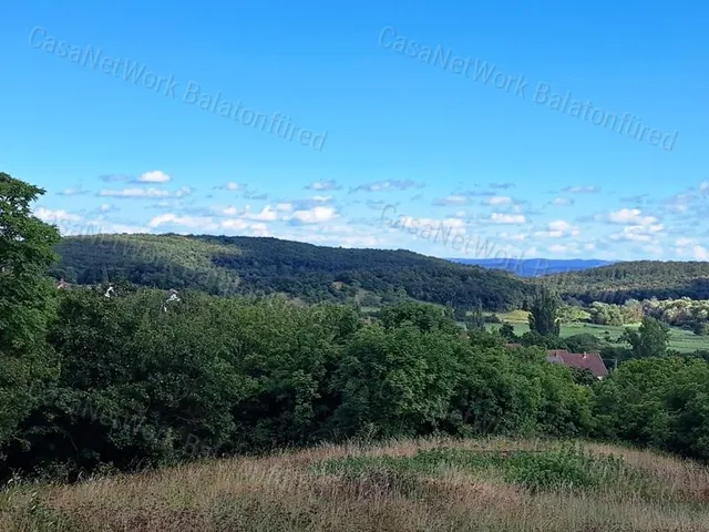 Eladó telek Balatonszőlős 6983 nm