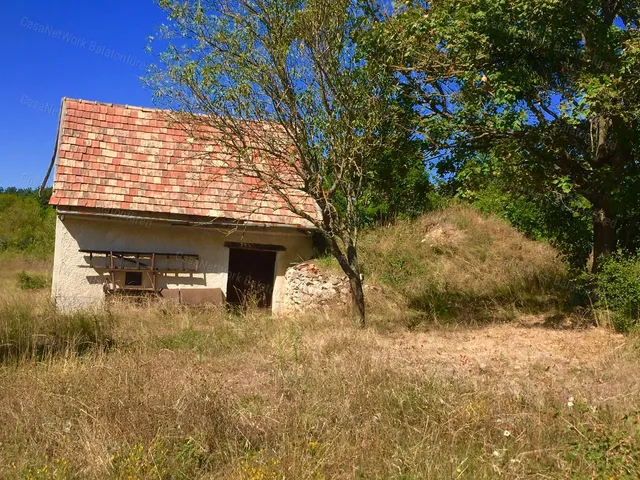 Eladó mezőgazdasági ingatlan Dörgicse 11400 nm