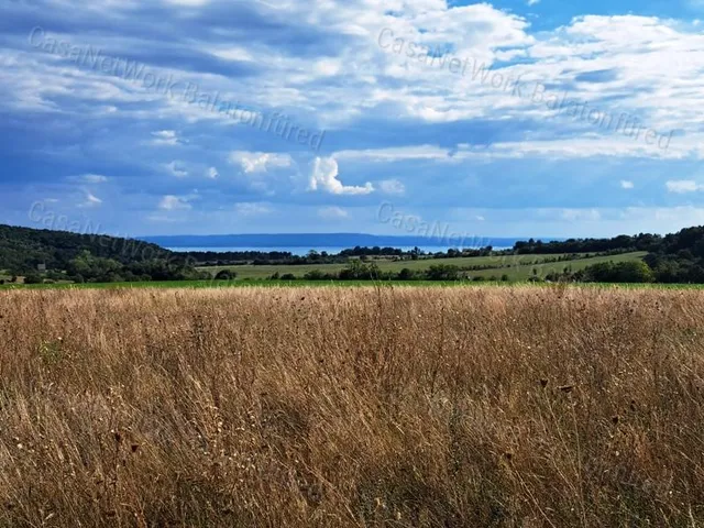 Eladó mezőgazdasági ingatlan Dörgicse 57998 nm