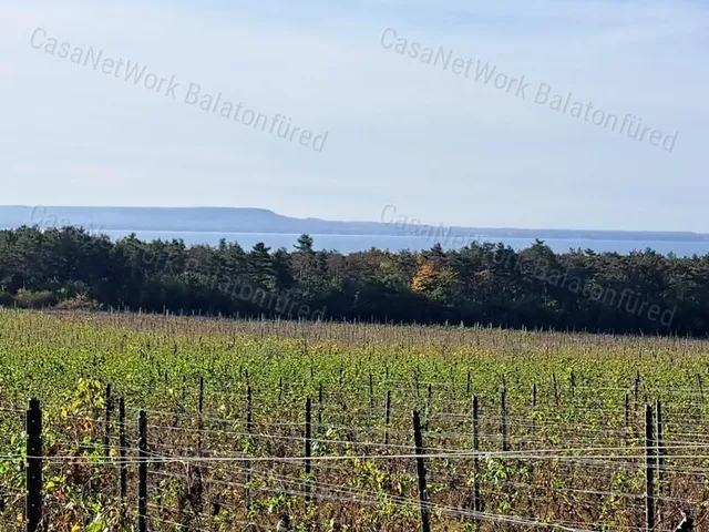 Eladó mezőgazdasági ingatlan Balatonakali 137001 nm