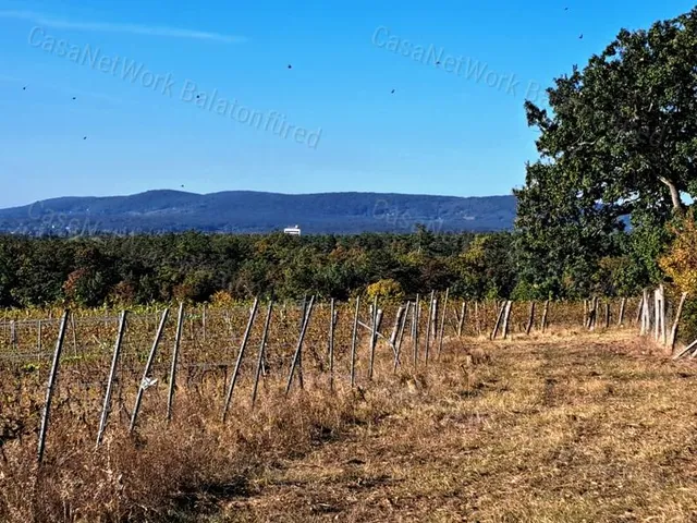 Eladó mezőgazdasági ingatlan Balatonakali 137001 nm