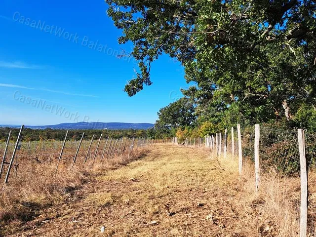 Eladó mezőgazdasági ingatlan Balatonakali 137001 nm