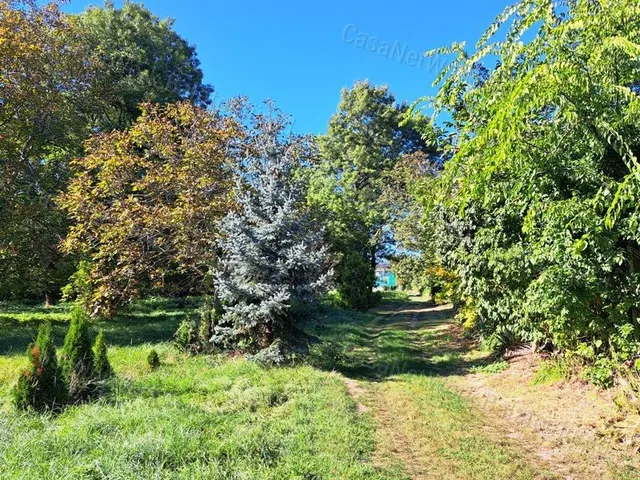 Eladó mezőgazdasági ingatlan Balatonfüred 1359 nm