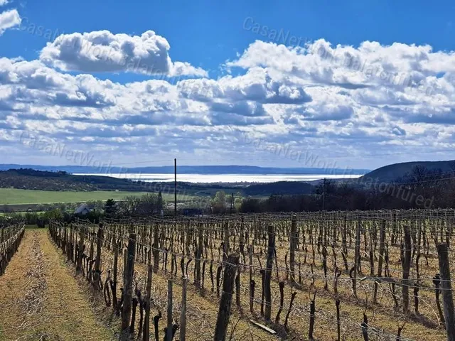 Eladó mezőgazdasági ingatlan Szentjakabfa 13433 nm