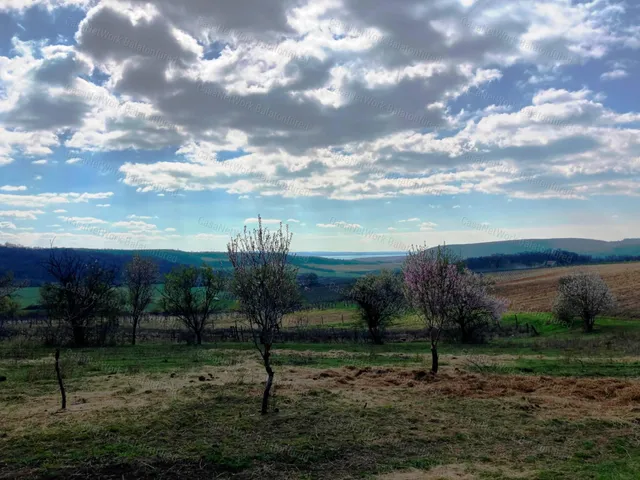 Eladó mezőgazdasági ingatlan Óbudavár 5675 nm