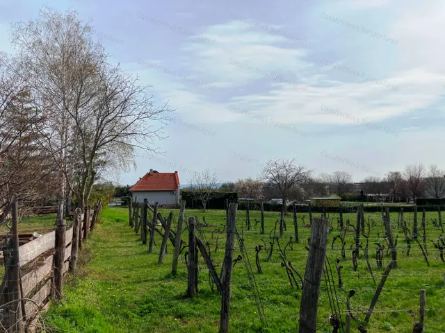 Eladó mezőgazdasági ingatlan Balatonfüred 5720 nm