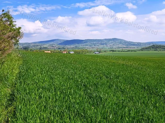 Eladó mezőgazdasági ingatlan Mindszentkálla 3998 nm