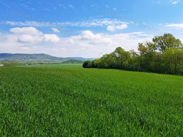 Eladó mezőgazdasági ingatlan Mindszentkálla 3998 nm