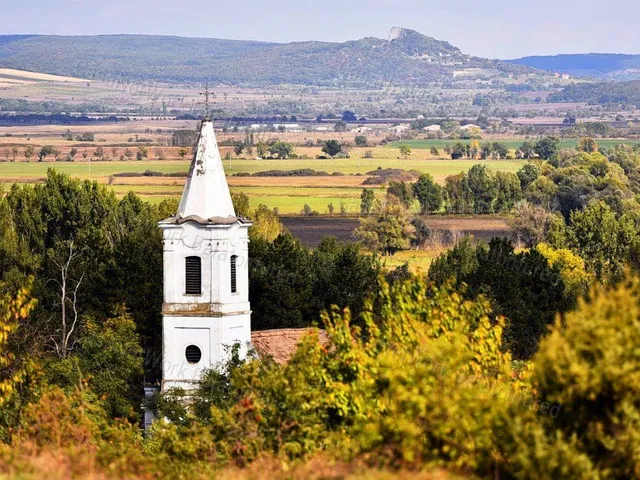 Eladó mezőgazdasági ingatlan Salföld 86539 nm