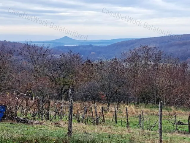 Eladó mezőgazdasági ingatlan Kapolcs 1684 nm