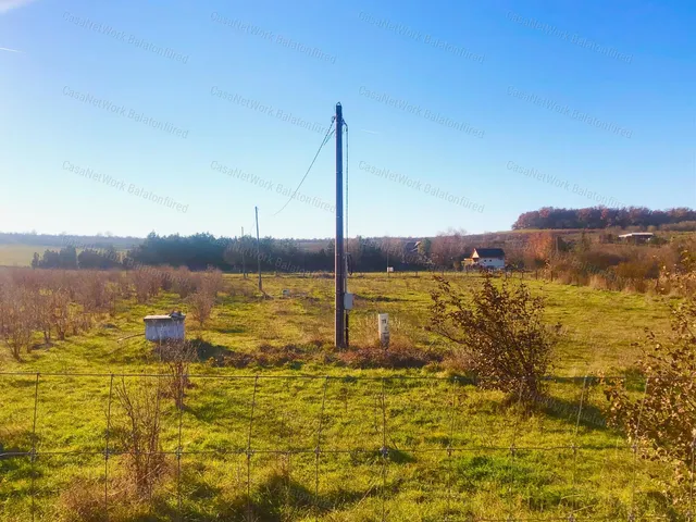 Eladó mezőgazdasági ingatlan Balatonszőlős 5379 nm