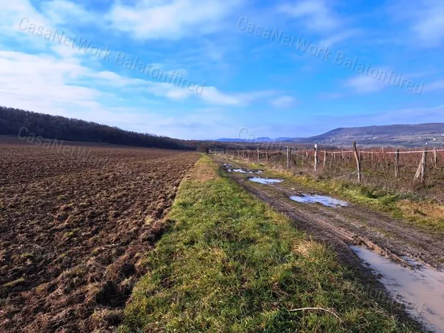 Eladó mezőgazdasági ingatlan Monoszló 11760 nm