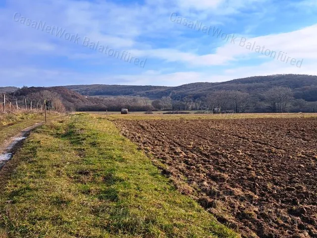 Eladó mezőgazdasági ingatlan Monoszló 11760 nm