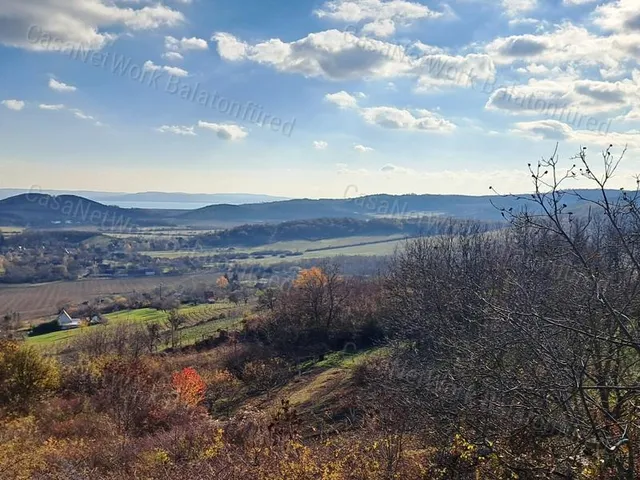 Eladó mezőgazdasági ingatlan Pécsely 4034 nm