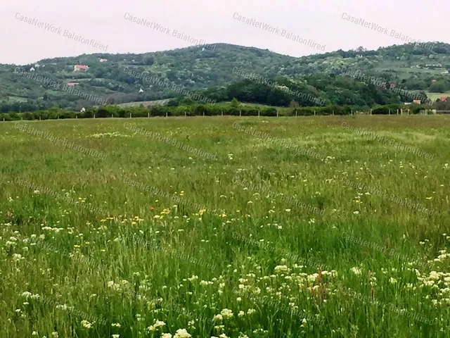 Eladó mezőgazdasági ingatlan Balatonszőlős 3161 nm