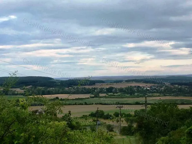 Eladó mezőgazdasági ingatlan Balatonszőlős 3161 nm