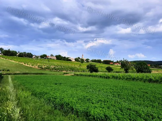 Eladó mezőgazdasági ingatlan Szentjakabfa 3572 nm