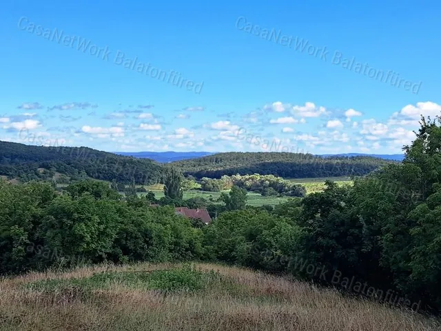 Eladó telek Balatonszőlős 990 nm