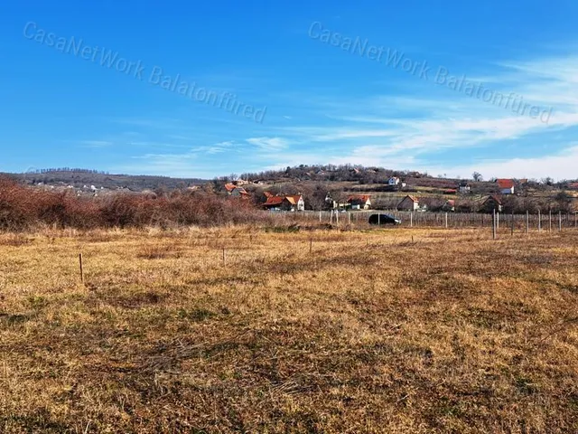 Eladó mezőgazdasági ingatlan Balatonszőlős 6012 nm