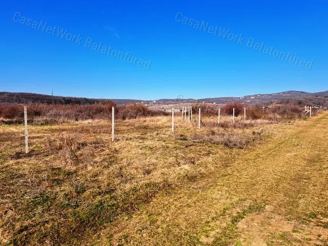 Eladó mezőgazdasági ingatlan Balatonszőlős 6012 nm