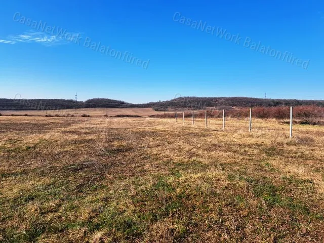 Eladó mezőgazdasági ingatlan Balatonszőlős 6012 nm