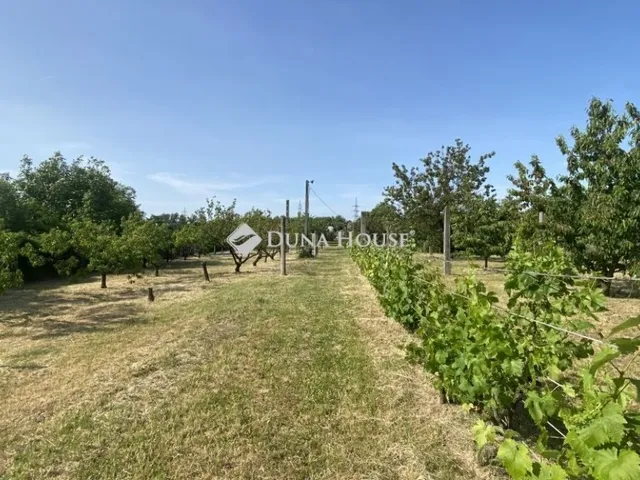 Eladó telek Győr, Szabadhegy 4576 nm