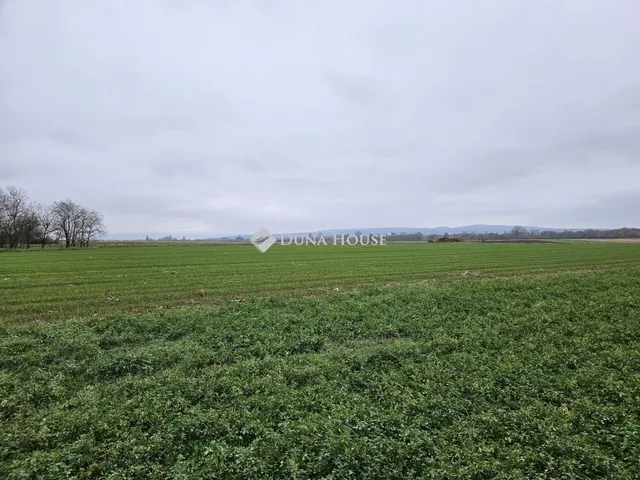 Eladó telek Csót 3616 nm