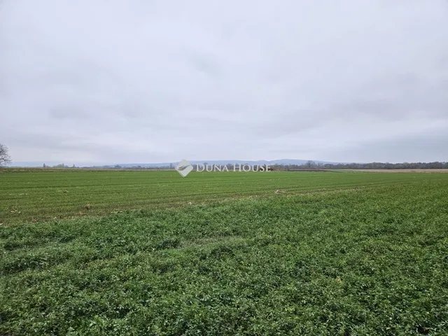 Eladó telek Csót 3616 nm