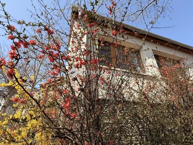 Eladó ház Győr 165 nm