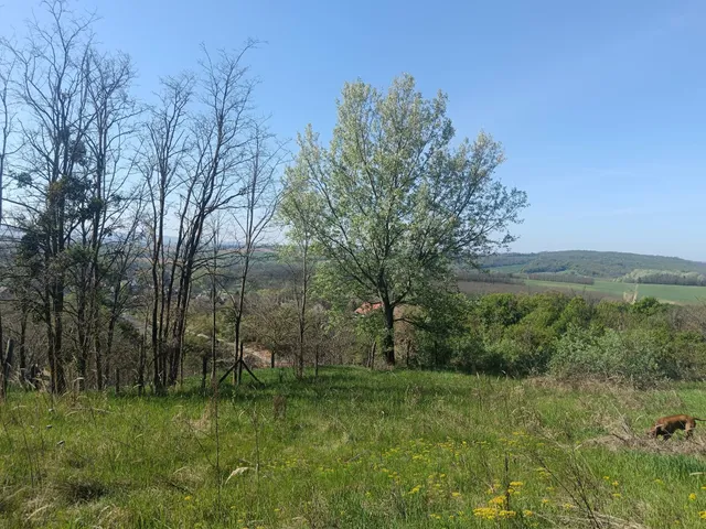 Eladó telek Súr 2769 nm