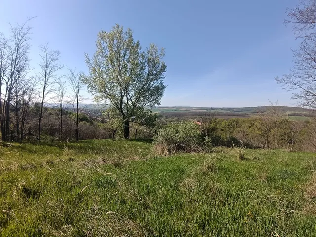 Eladó telek Súr 2769 nm