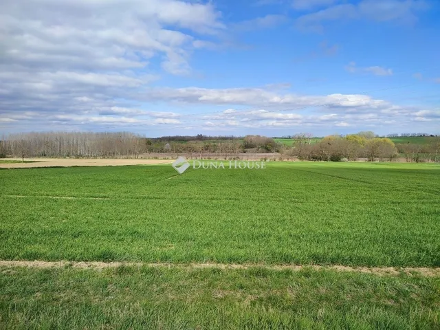 Eladó telek Tápszentmiklós 2207 nm