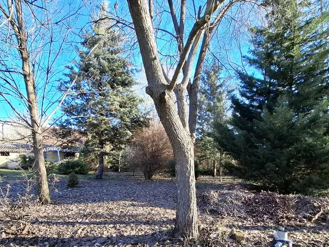 Eladó ház Tápiószele 70 nm