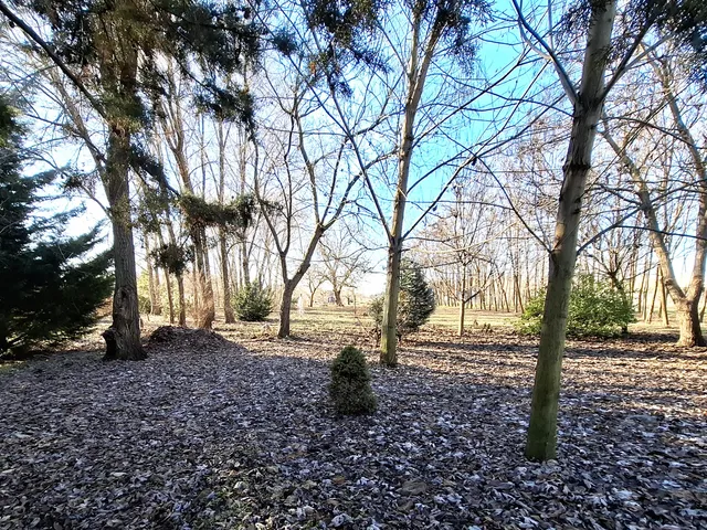 Eladó ház Tápiószele 70 nm