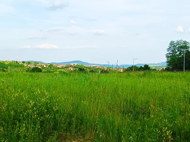 Eladó telek Csolnok 1443 nm
