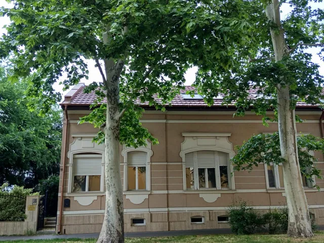 Kiadó ház Szolnok, Belváros 160 nm