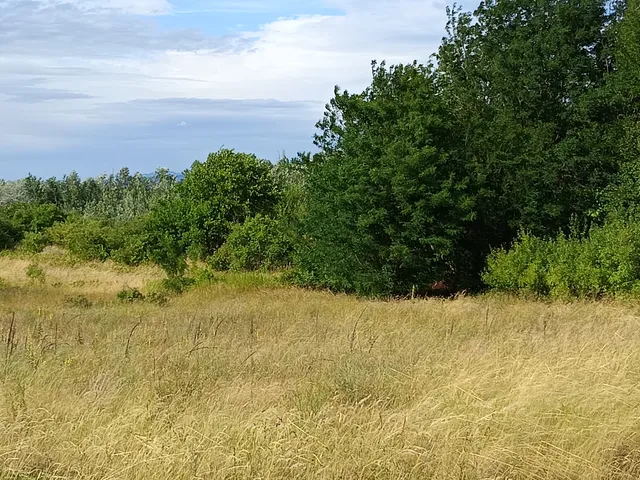Eladó mezőgazdasági ingatlan Tokod 3136 nm