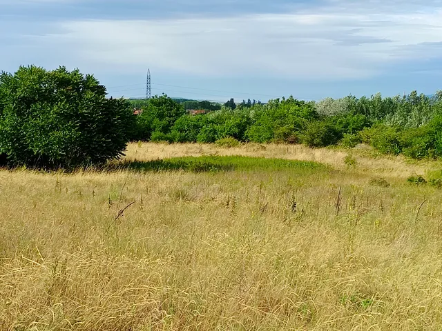 Eladó mezőgazdasági ingatlan Tokod, Bajnai út 3136 nm
