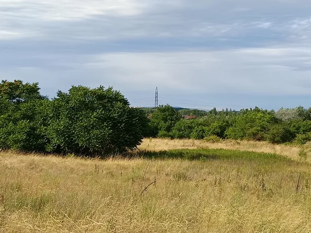 Eladó mezőgazdasági ingatlan Tokod, Bajnai út 3136 nm