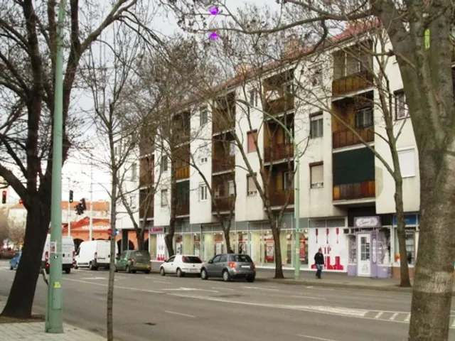 Kiadó kereskedelmi és ipari ingatlan Szolnok, Belváros 230 nm