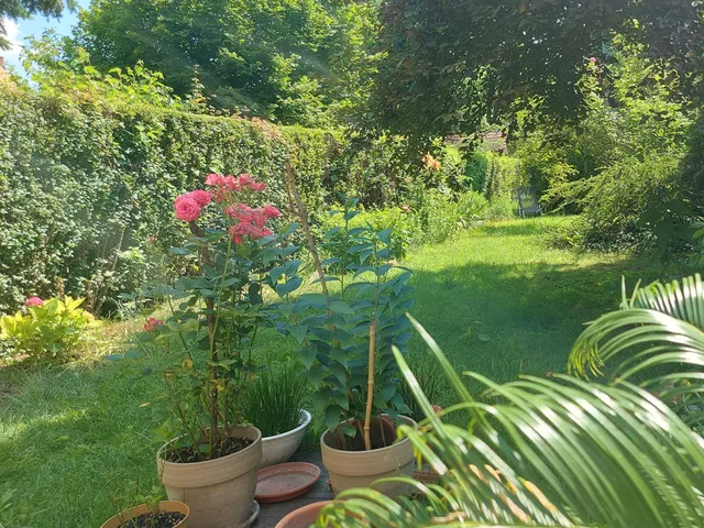 Eladó ház Szolnok 210 nm
