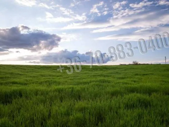 Eladó telek Dabas 1215 nm