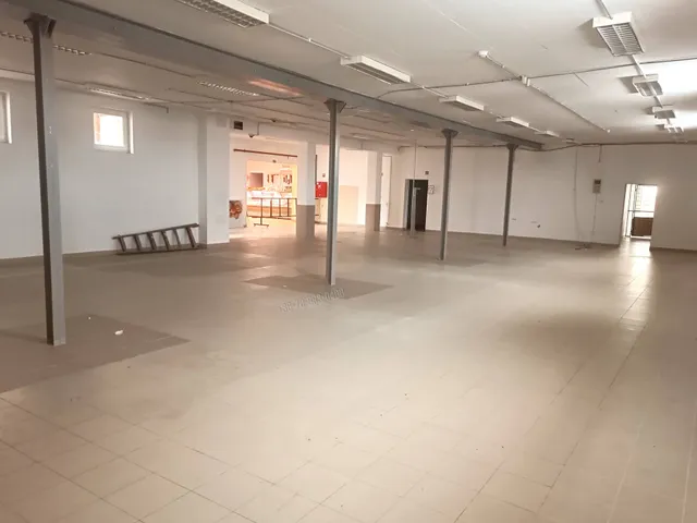 Kiadó kereskedelmi és ipari ingatlan Újhartyán 250 nm