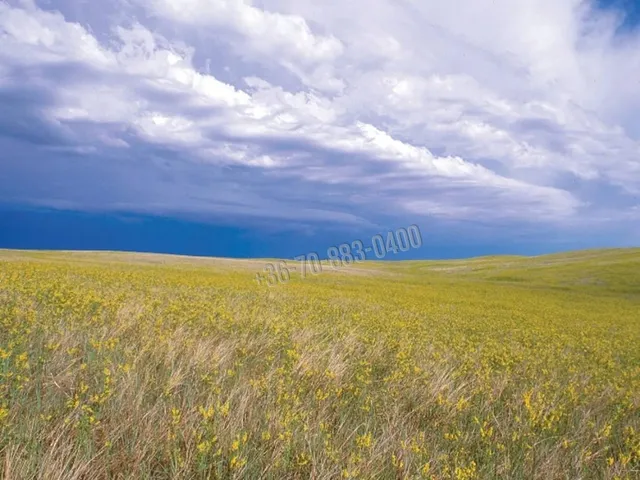 Eladó telek Dabas 1445 nm