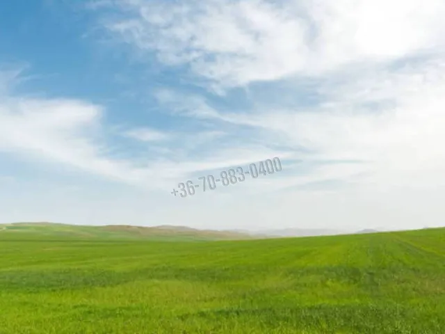 Eladó telek Dabas, Gyón 1644 nm