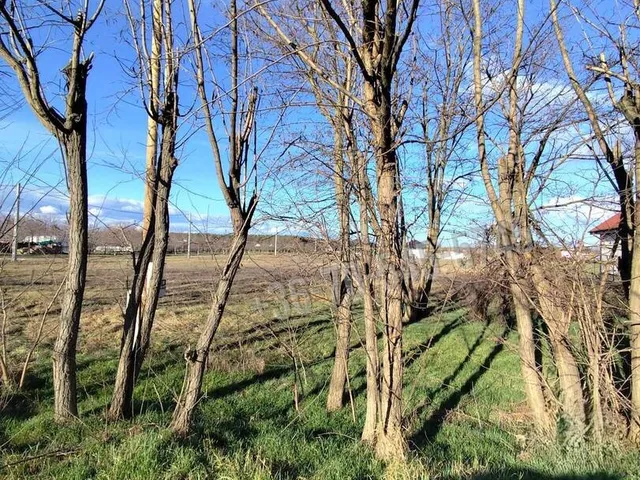 Eladó telek Inárcs 893 nm