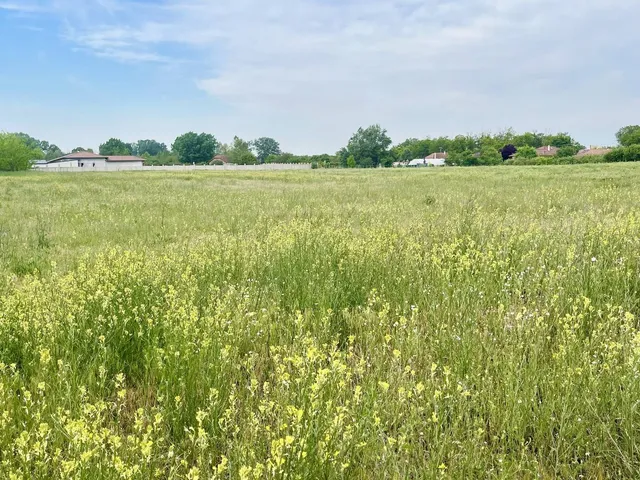 Eladó telek Dabas 20196 nm