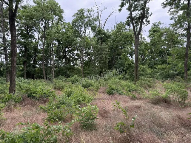 Eladó telek Dabas, Szőlőhegy 880 nm